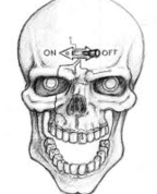 1143555_1364_profile