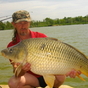 1104324_3036_card