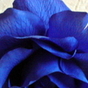 114148_43806_card