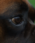 114326_14438_profile