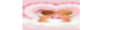 114623_62544_card