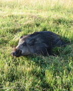 114710_70057_profile