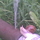 1153067_7155_mini