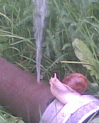 1153067_7155_profile