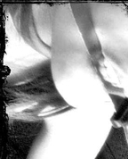 1154217_2131_profile