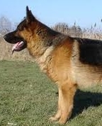 1154922_3328_profile