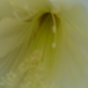 1015635_8085_card