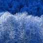 1015961_7442_card