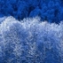 1015961_7442_tiny