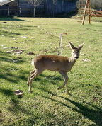 1105010_1970_profile