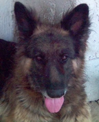 1016963_4083_profile