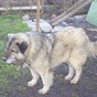 116730_28417_card