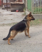 1174520_2792_profile