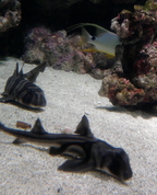 1175056_7153_profile