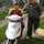 1177452_4260_mini