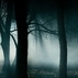1178624_6338_tiny