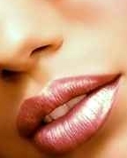 1017840_8009_profile