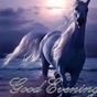 1107670_2244_card