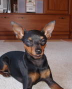 1018330_6109_profile