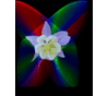 1108829_1361_card