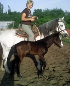 1196432_2745_profile