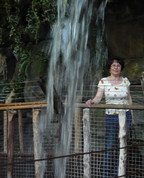 1199237_6494_profile