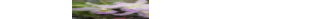 _7830429243_card