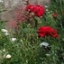 1010485_8464_tiny