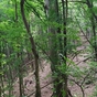 101506_97510_card