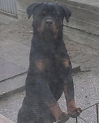 1213983_7465_profile