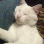 1215057_9290_card