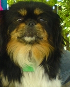 1216145_7665_profile
