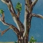 1219708_7103_card