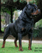 1210054_1111_profile