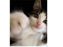 121411_41781_profile