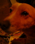 1223172_3974_profile
