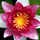1228005_8476_mini
