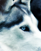1022781_3705_profile