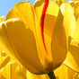 1220574_3325_card