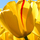 1220574_3325_mini