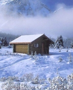 1203380_6556_profile