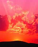 1241507_6415_profile