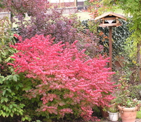 1242004_1155_profile