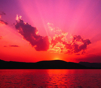 1248763_4742_profile