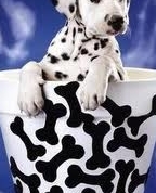 1204124_8516_profile