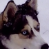 124333_68114_tiny