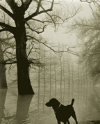 1251144_4391_profile