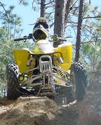1251386_8640_profile