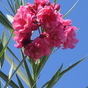 1252626_8019_card