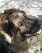 1263458_2549_profile